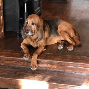 Meet your Posher, Nick